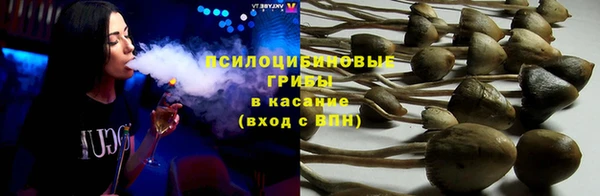 молекула духа Аркадак
