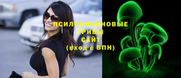 молекула духа Аркадак