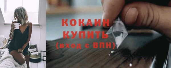 шишки Армянск
