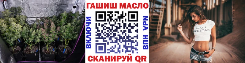 купить Могоча мега tor ТГК концентрат