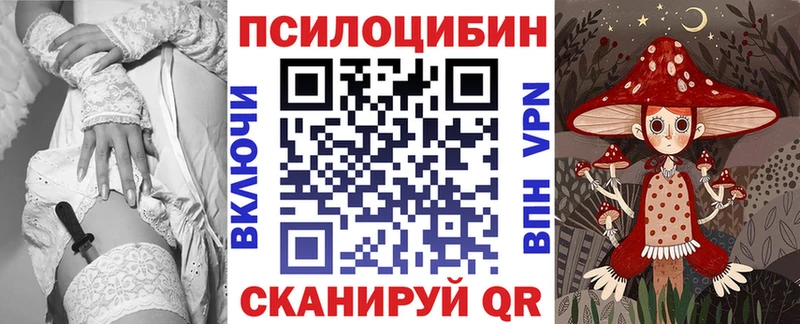 kraken как войти  Могоча  Псилоцибиновые грибы мицелий 